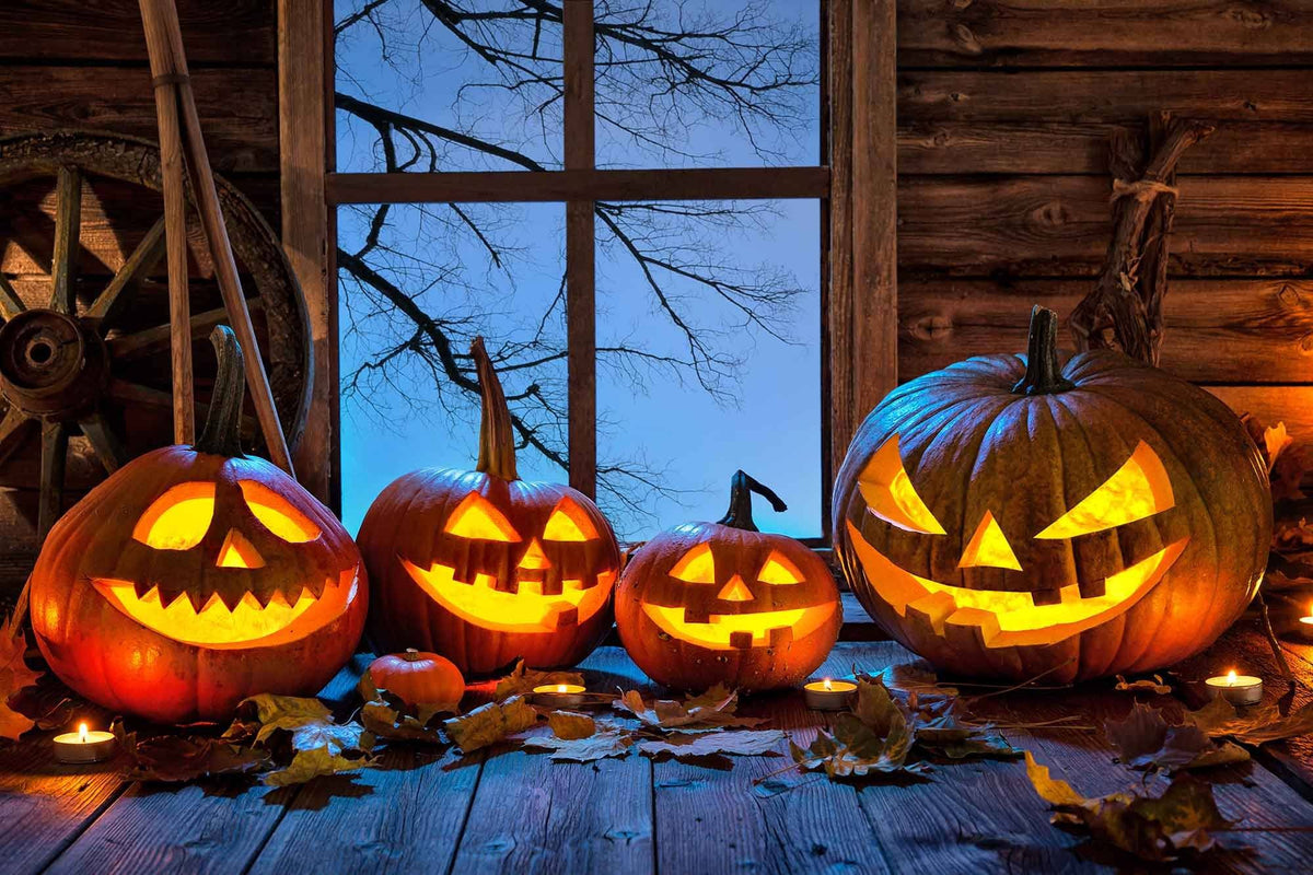 Halloween Background Christmas Pumpkin On Wood Floor Backdrop Shopbackdrop