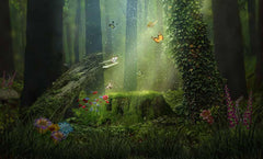 Lush Forest Butterfly And Tree Stump Photography Backdrop Shopbackdrop