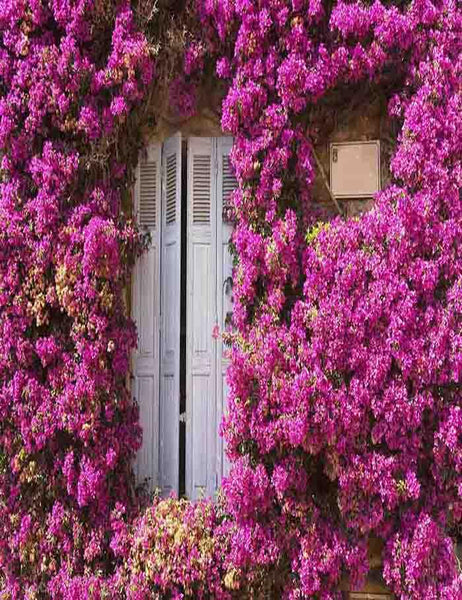 Purple Flowers Around The Wood Door For Wedding Photo Backdrop ...